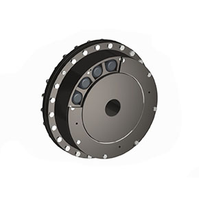 RBI par Renold